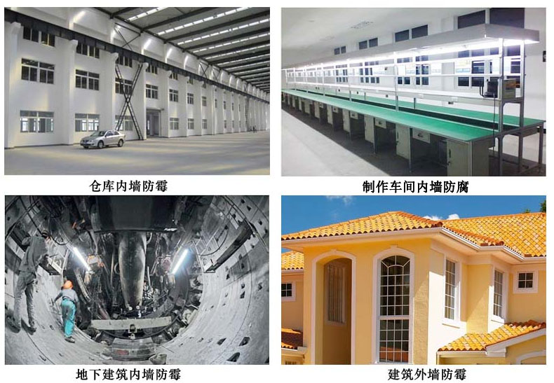 制作車間內墻防腐.jpg