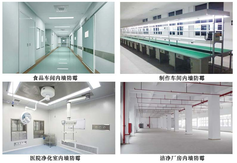 制作車間內墻防霉.jpg